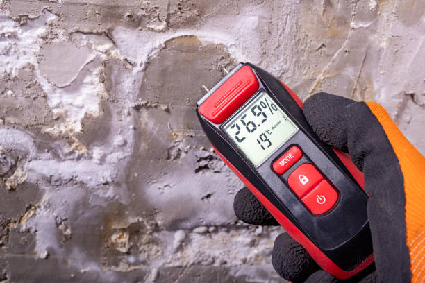 Best Commercial Mold Remediation in Rio Rancho Estates, NM